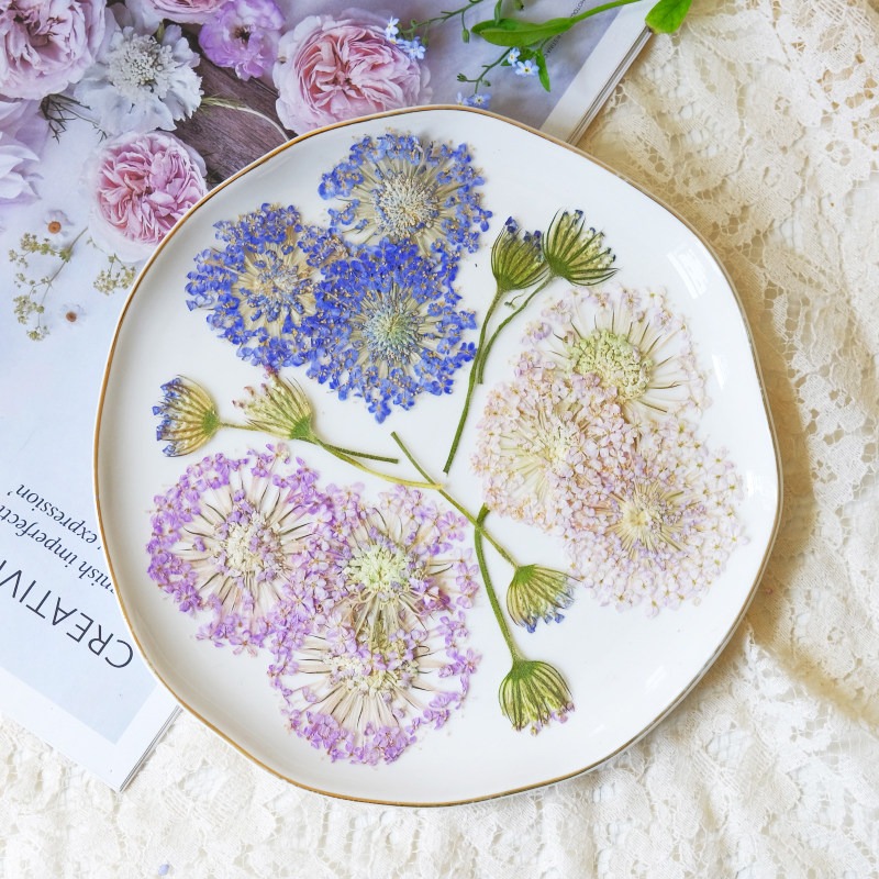 Dried Flower Bookmark - 12 SZT. Prasowane szmaragdowe perły w