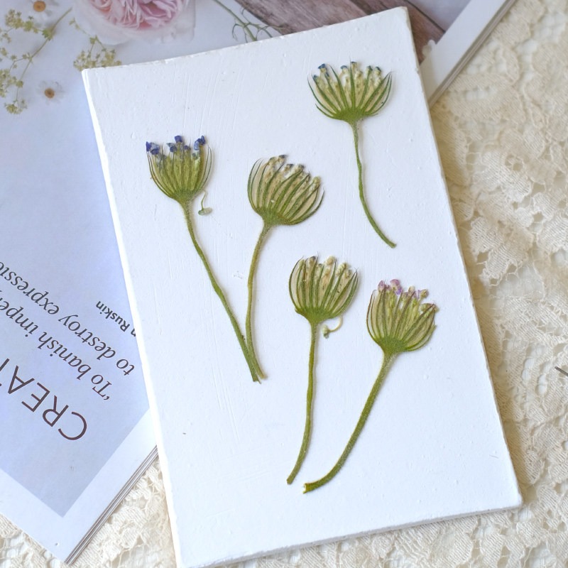 12 SZT. Prasowane szmaragdowe  – Dried Flower Bookmark recenzja i cena