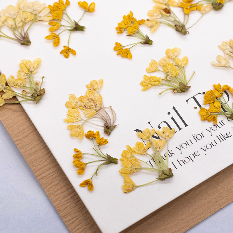 24 sztuki, naturalne prawdziwe – Dried Flower Bookmark recenzja i cena